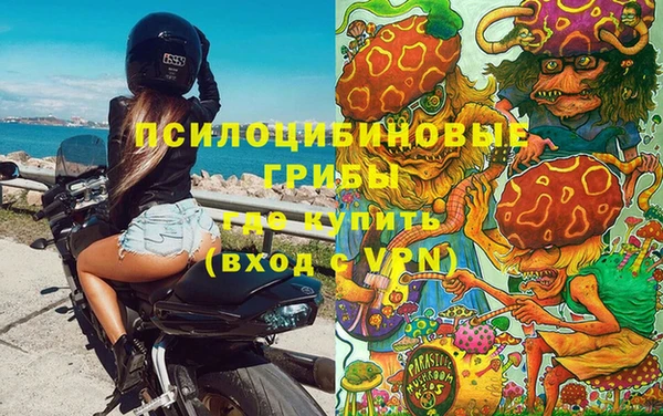 тгк Абинск